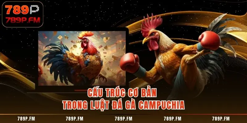 Cấu trúc cơ bản trong Luật Đá Gà Campuchia