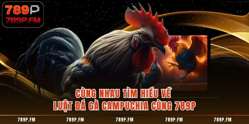 Cùng Nhau Tìm Hiểu Về Luật Đá Gà Campuchia Cùng 789P