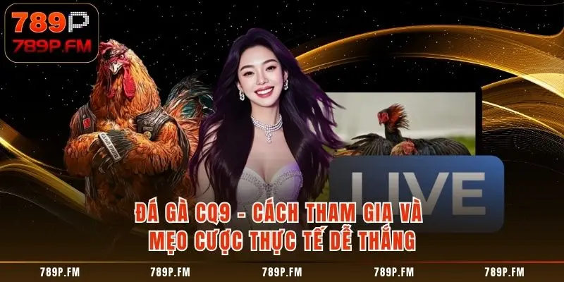 Trải Nghiệm Đá Gà CQ9 - Tận Hưởng 100+ Trận Đá Gà