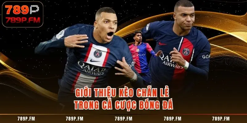 Giới thiệu kèo chẵn lẻ trong bóng đá