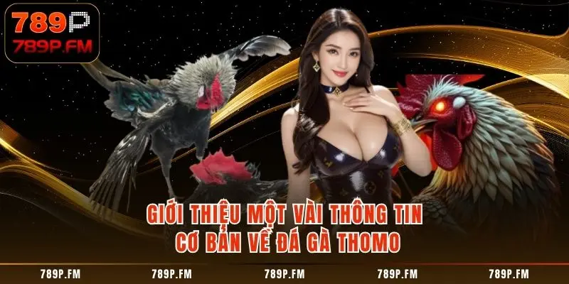 Giới thiệu một vài thông tin cơ bản về đá gà Thomo