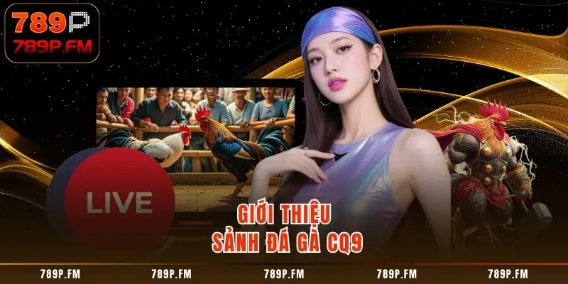 Tìm hiểu thông tin về đá gà CQ9 