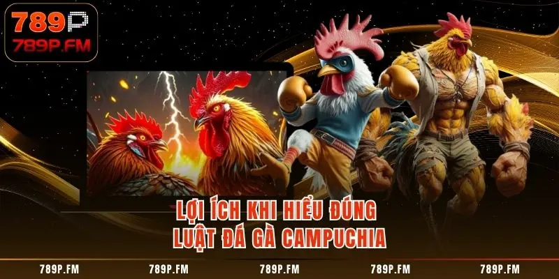 Lợi ích khi hiểu đúng Luật Đá Gà Campuchia