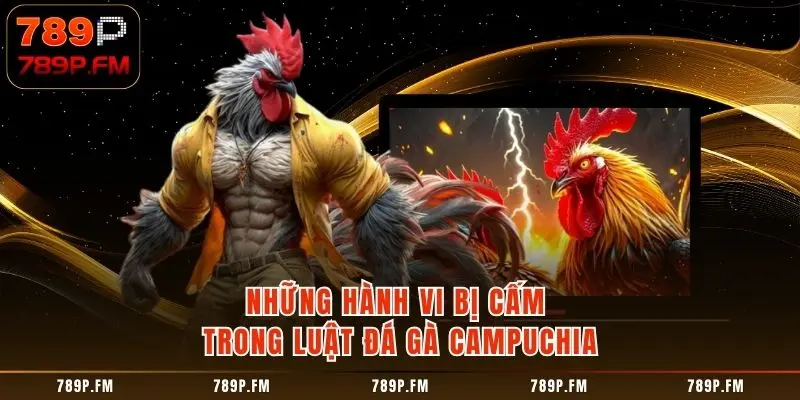 Những hành vi bị cấm trong Luật Đá Gà Campuchia